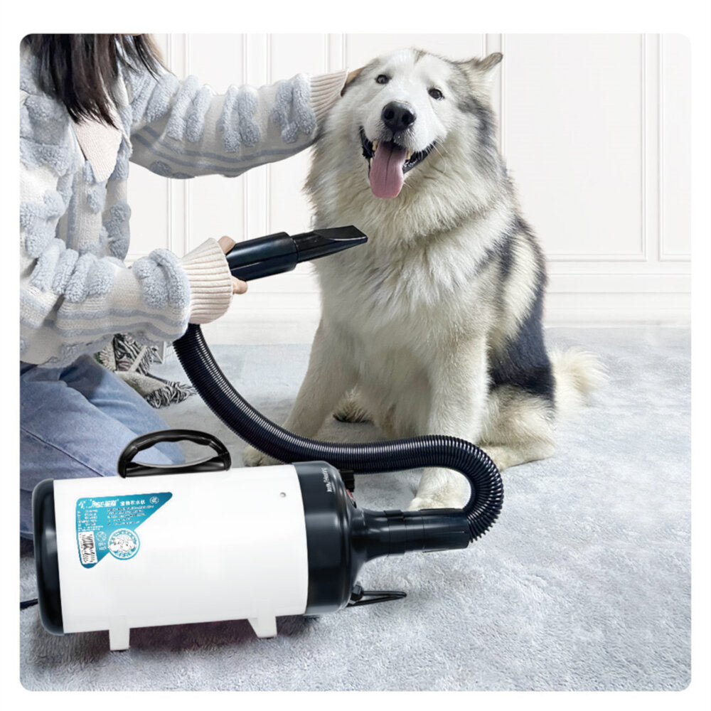 JASE PD9001 Pet Blowing Machine 2200W Low Noise Wam Wind Household Cat Dog Fast Hair Dryer for Pet Supplies Grooming